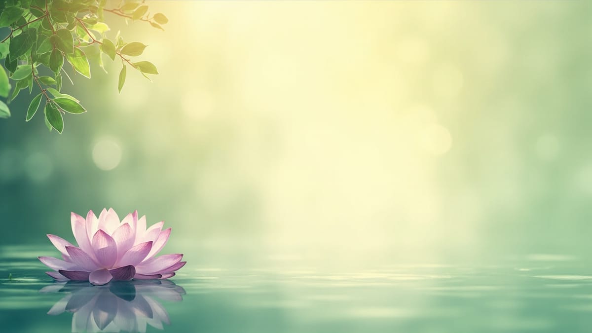 Equilibrio de los 7 chakras: guía para armonizar tu energía