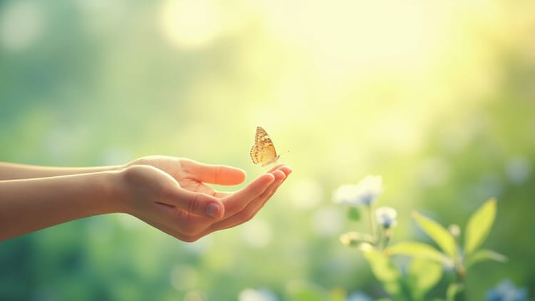El arte de perdonar: cómo soltar el rencor y encontrar paz
